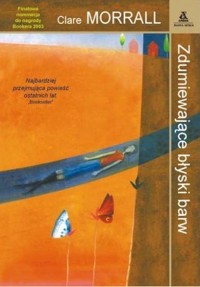 Zdumiewające błyski barw - Clare Morrall - ebook