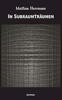 In Subraumträumen - Matthias Herrmann - ebook