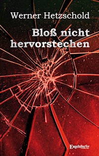 Bloß nicht hervorstechen - Werner Hetzschold - ebook