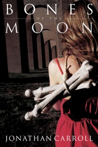 Bones of the Moon - Jonathan Carroll - ebook