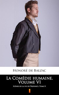 La Comédie humaine. Volume VI. Scènes de la vie de Province. Tome II - Honoré de Balzac - ebook