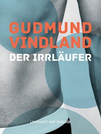 Der Irrläufer - Gudmund Vindland - ebook