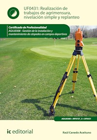 Realización de trabajos de agrimensura, nivelación simple y replanteo. AGAJ0308 - Raúl Canedo Aceituno - ebook