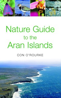 Nature Guide to the Aran Islands - Con O' Rourke - ebook