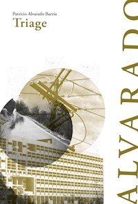 Triage - Patricio Alvarado - ebook