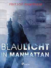 Blaulicht in Manhattan - Fritjof Guntram - ebook