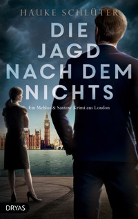 Die Jagd nach dem Nichts - Hauke Schlüter - ebook