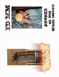 ATTACK OF THE SPIDER WOMAN - Maik Mueller - ebook