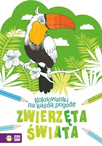 Kolorowanki na każdą pogodę Zwierzęta świata -  - książka