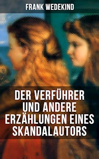 Der Verführer und andere Erzählungen eines Skandalautors - Frank Wedekind - ebook