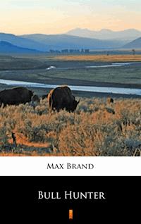 Bull Hunter - Max Brand - ebook