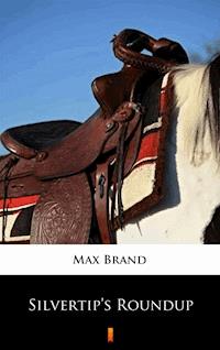 Silvertip’s Roundup - Max Brand - ebook