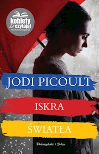 Iskra światła - Picoult Jodi - książka