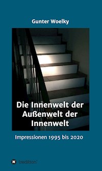 Die Innenwelt der Außenwelt der Innenwelt - Gunter Woelky - ebook