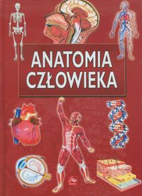 Anatomia człowieka -  - książka