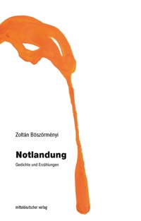 Notlandung - Zoltán Böszörményi - ebook