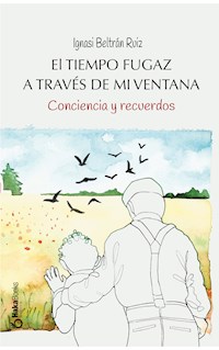 El tiempo fugaz a través de mi ventana - Ignasi Beltrán Ruiz - ebook