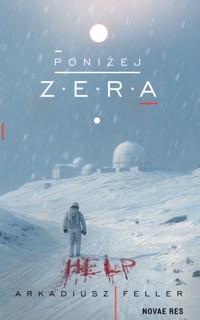 Poniżej zera - Arkadiusz Feller - ebook