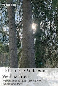 Licht in die Stille von Weihnachten - Volker Tesar - ebook