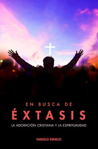 En busca de éxtasis - Vanderlei Dorneles - ebook