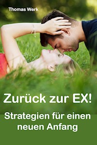 Zurück zur Ex - Thomas Werk - ebook
