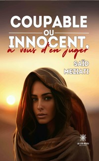 Coupable ou innocent, à vous d’en juger - Saïd Meziati - ebook