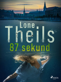 87 sekund - Lone Theils - ebook + audiobook