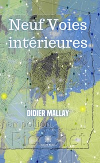 Neuf Voies intérieures - Didier Mallay - ebook