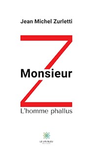 Monsieur Z - Jean Michel Zurletti - ebook