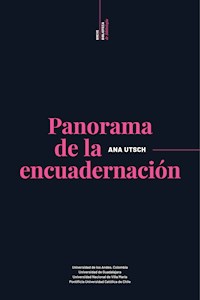 Panoramas de la encuadernación - Ana Utsch - ebook
