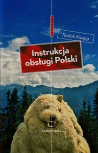 Instrukcja obsługi Polski - Radek Knapp - książka