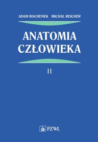 Anatomia człowieka Tom 2 - Bochenek Adam, Reicher Michał - książka