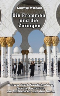 Die Frommen und die Zornigen - Ludwig Witzani - ebook