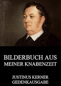 Bilderbuch aus meiner Knabenzeit - Justinus Kerner - ebook