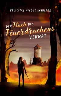 Der Fluch des Feuerdrachens 1 - Felicitas Nicole Schwarz - ebook