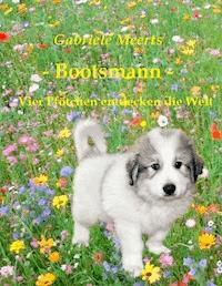 Bootsmann - Gabriele Meerts - ebook