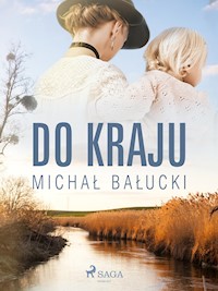 Do kraju - Michał Bałucki - ebook