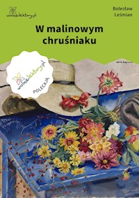 W malinowym chruśniaku - Bolesław Leśmian - ebook