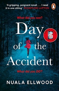 Day of the Accident - Nuala Ellwood - książka