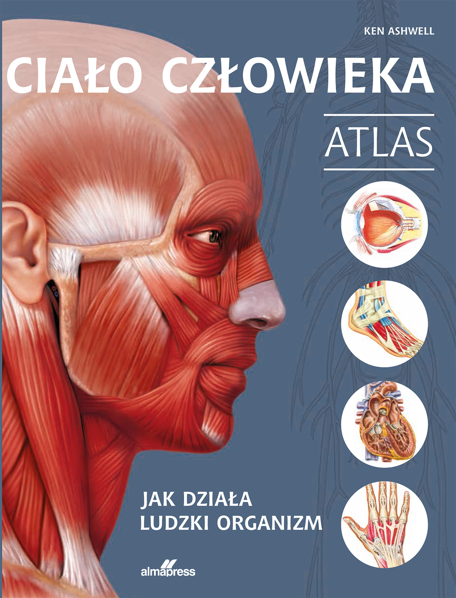 Ciało człowieka. Atlas. Jak działa ludzki organizm - Ken Ashwell - książka