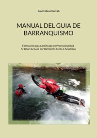 Manual del guia de barranquismo - Juan Esteve Galvañ - ebook