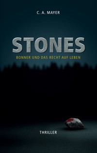 Stones - C. A. Mayer - ebook