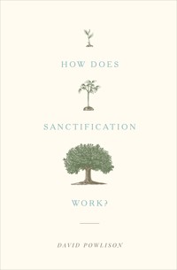 How Does Sanctification Work? - David Powlison - ebook