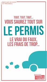 Vous saurez tout sur le permis - Nina Belile - ebook
