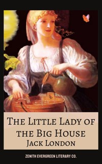 The Little Lady of the Big House - Jack London - ebook