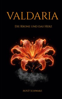 Valdaria - M.N.P. Schwarz - ebook