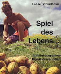 Spiel des Lebens - Lasse Merlin Schindhelm - ebook