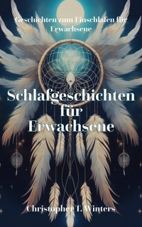 Schlafgeschichten für Erwachsene - Christopher T. Winters - ebook