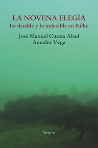 La novena elegía - Amador Vega - ebook
