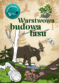 Warstwowa budowa lasu. Kolorowanka - Katarzyna Kopiec-Sekieta - książka